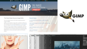 gimp