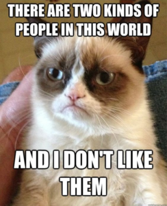 Grumpy Cat meme: 'There are two kinds of people in this world, and I don’t like them.