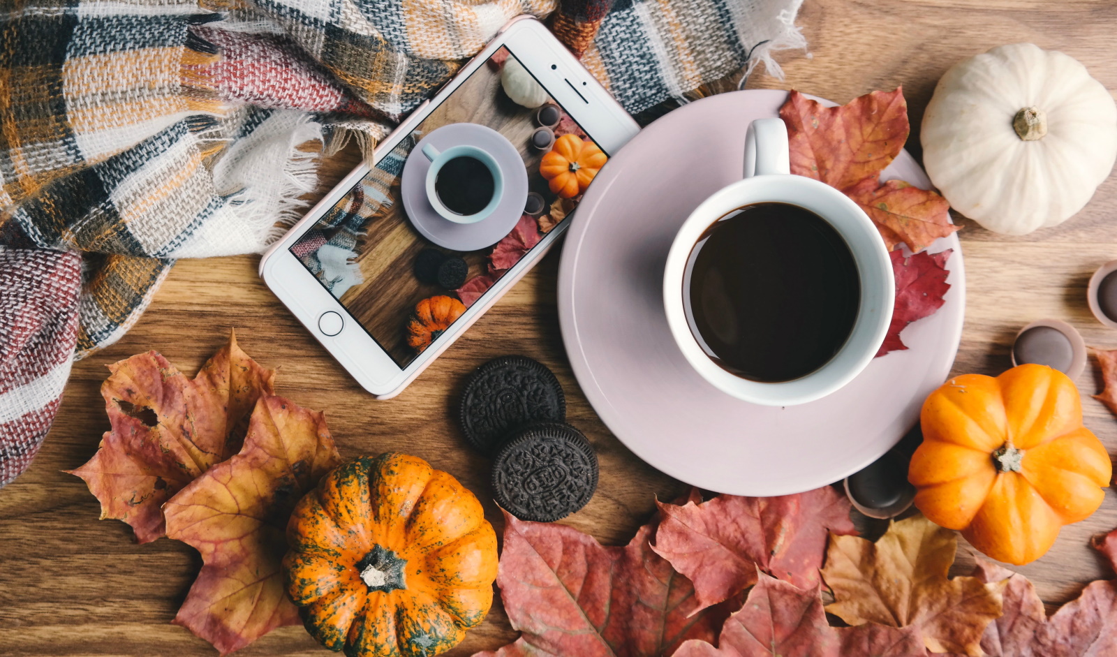 September Newsletter Coffee & Pumpkins