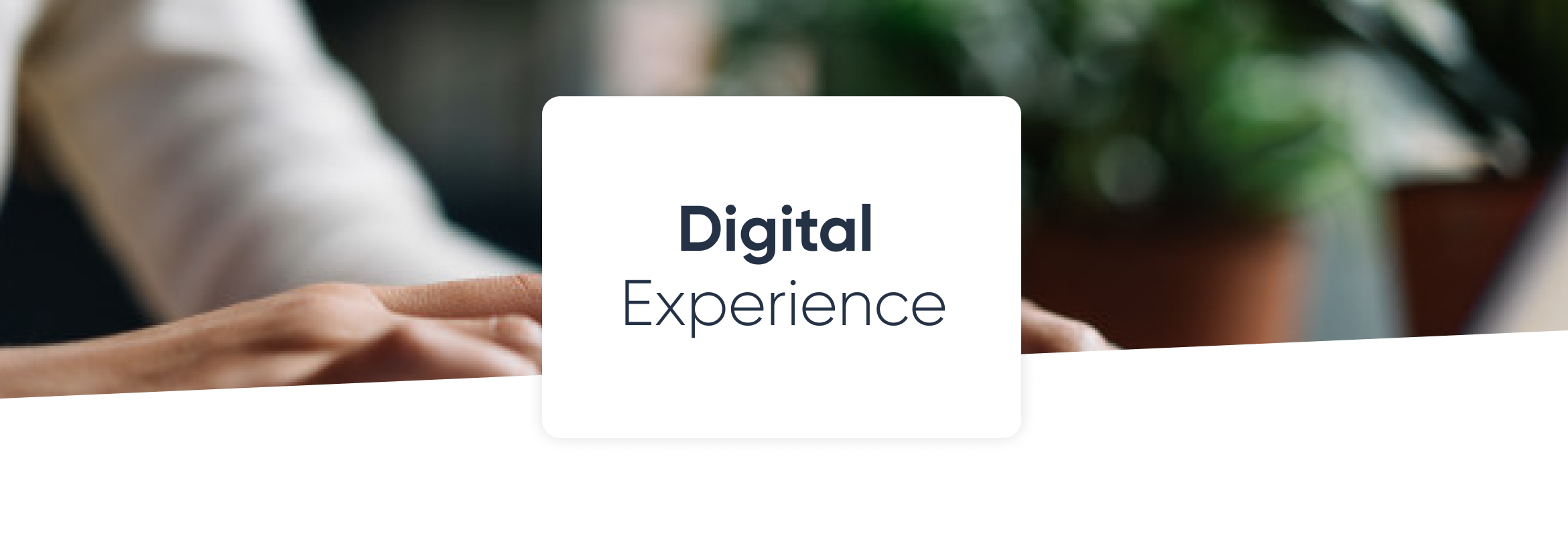 brand values in digital experience