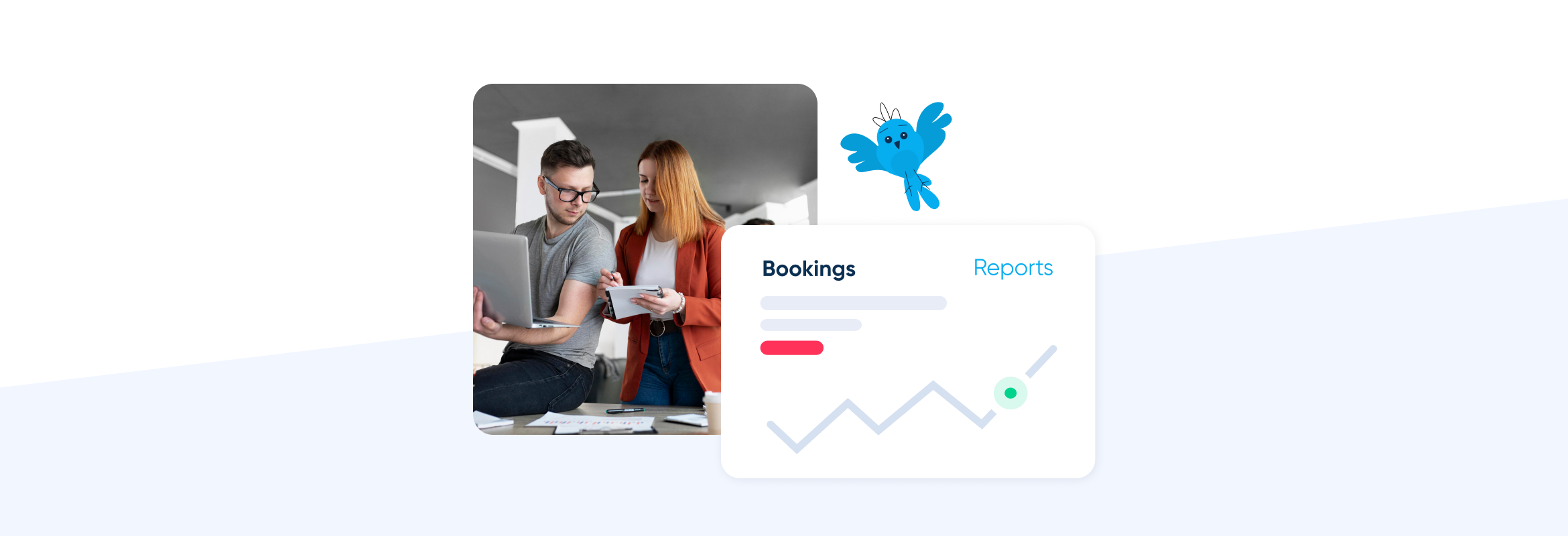 report and monitor bookings and clients and with custom feature reports