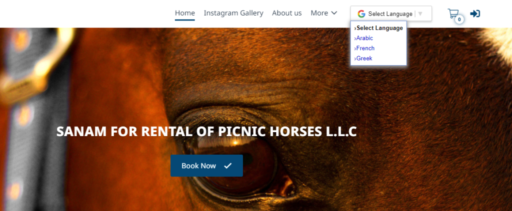 Sanam Horse riding Abu Dhabi google reviews translate