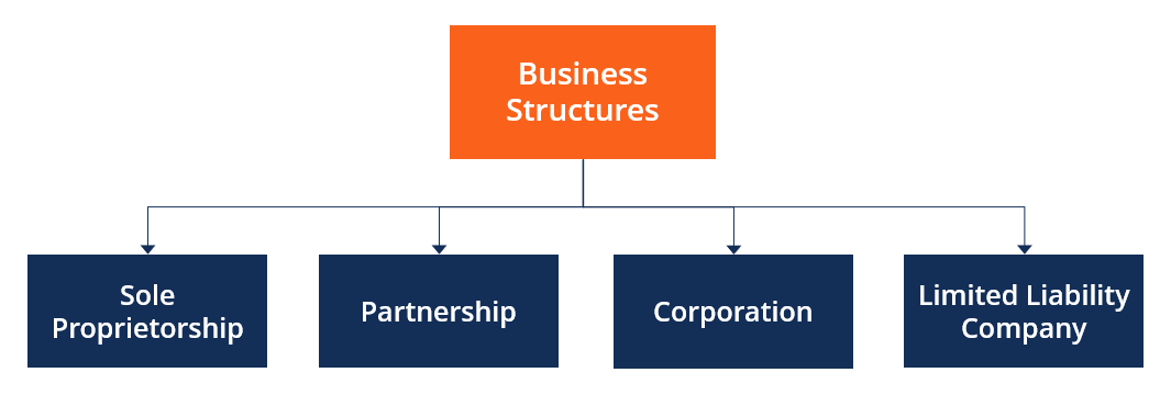 Opciones de estructura empresarial